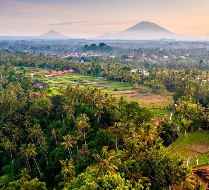 All Bali Tour